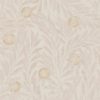 Orange Tree 216404